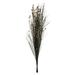 Vickerman 36-40 Natural Bell Grass with Seed Pods 8-9 oz Bundle Preserved