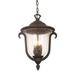 Kalco Santa Barbara Outdoor 3 Light Medium Hanging Lantern