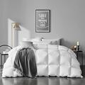 APSMILE Queen Size Goose Feather Down Comforter - Ultra Soft All Seasons 100% Organic Cotton Feather Down Duvet Insert Medium Warm Quilted Bed Comforter with Corner Tabs (90x90,Ivory White)