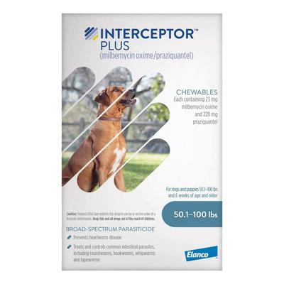 Interceptor Plus Chew (Interceptor Spectrum) For D...