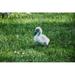 canvas print meadow nature duck green bird farm grass animal stretched canvas 10 x 14