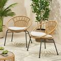 Christopher Knight Home Banya Outdoor Faux Wicker Chairs (Set of 2) by