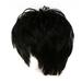 Sehao Sexy Women Short Black Wig Party Synthetic Fashion Wigs Rose Net Hot