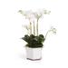 Barclay Butera Phalaenopsis In Ceramic Pot 18.5" - White
