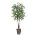 Primrue 72" Artificial Maple Tree in Pot Silk/Plastic in Brown | 72 H x 30 W x 30 D in | Wayfair CD52A934DCCF4BF5B0827645F0469B46