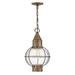 Hinkley Lighting Cape Cod 19 Inch Tall Outdoor Hanging Lantern - 2202BU