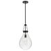 Hinkley Lighting Eloise 11 Inch LED Mini Pendant - 46057BK