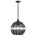 Hinkley Lighting Maddox 15 Inch Tall LED Outdoor Hanging Lantern - 19677BK