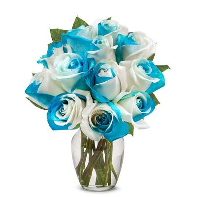 From You Flowers - One Dozen Sea Foam Roses