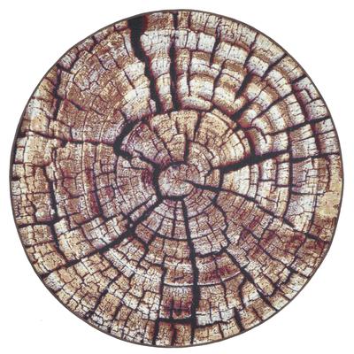 Teppich GINO FALCONE "Aurora GF-095", braun, H:5mm Ø:240cm, Polypropylen, Teppiche, Holz Optik, ideal im Wohnzimmer & Schlafzimmer Image
