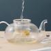Ivy Bronx Glass Tea Pot 1l w/ Removable Infuser, Blooming & Loose Leaf Tea Maker Set, Stovetop & Microwave Safe Tea Kettle. Glass in White | Wayfair