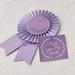 Urban Outfitters Office | My #1 Bitch Best Friend Supportive Vday Award Ribbon | Color: Purple | Size: Os