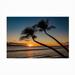 Dovecove Pierre Leclerc 'Silhouette of the Tropics' Outdoor Canvas All-Weather Canvas, Wood | 12 H x 19 W x 1.5 D in | Wayfair