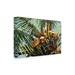 Bay Isle Home™ Suzanne Wilkins 'Los Cocos' Outdoor Canvas Wood in Brown/Green | 12 H x 19 W x 1.5 D in | Wayfair 039A899A964548FFAEC3360955C1C1DD