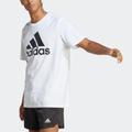 T-Shirt ADIDAS SPORTSWEAR "M BL SJ T" Gr. XXL, weiß (white) Herren Shirts Sport