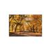 Millwood Pines Autumn Colors In Central Park, New York City, USA Print On Acrylic Glass Plastic/Acrylic | 16 H x 24 W x 0.25 D in | Wayfair
