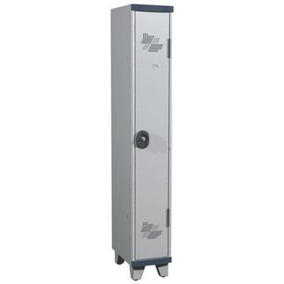 Vest Mono S/p Ip 1 Col L300x H1915xp500 Serrure À Clé Gris/clair - Acial