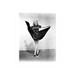 Smiling Betty Grable Dancing - Unframed Photograph Paper in Black/White Globe Photos Entertainment & Media | 10 H x 8 W x 1 D in | Wayfair