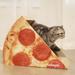 Cat Condo Scratcher Post Cardboard, Looking Well with Delicious Pizza Shape Cat Scratching House Bed Furniture Protector