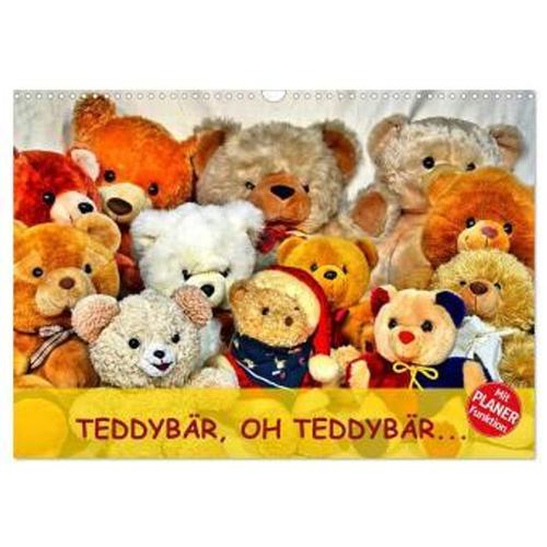 Teddybär, Oh Teddybär... (Wandkalender 2024 Din A3 Quer), Calvendo Monatskalender
