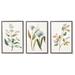 Josephine Botanicals Prints - Print I - Frontgate