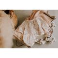 Ivy Boho Lace Sitter Cake Smash Outfit Top & Bottoms in Delicate Cream With Textured Embroidered Dress 6-12 Months