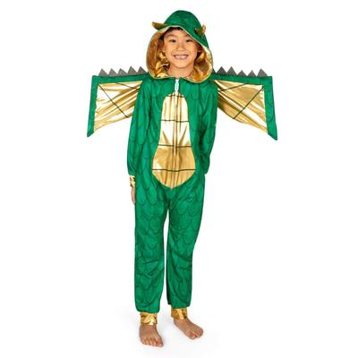 Boy's Dragon Costume