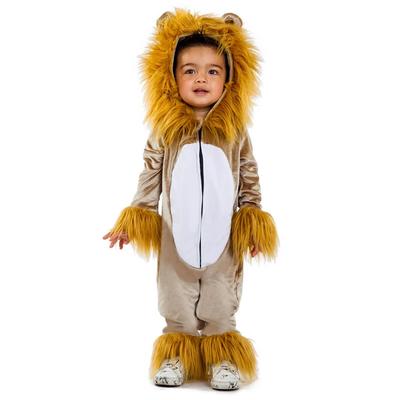 Toddler Boy's Lion Costume