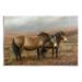 Stupell Industries Horses Dark Country Field Wall Plaque Art By Jeremy Paul-au-957 in Brown | 13 H x 19 W x 0.5 D in | Wayfair au-957_wd_13x19