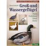 Groß- und Wassergeflügel - Handbuch Rasse- und Ziergeflügel, Gross- und Wassergeflügel