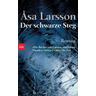 Der schwarze Steg / Rebecka Martinsson Bd.3 - Åsa Larsson