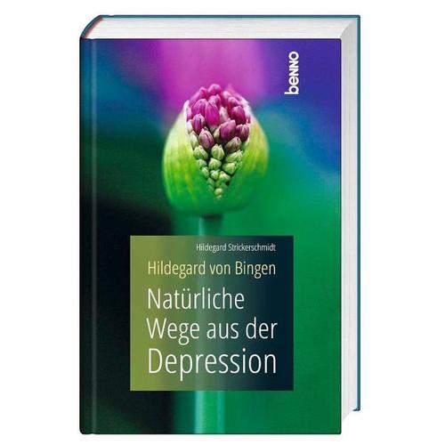 Hildegard von Bingen – Natürliche Wege aus der Depression – Hildegard Strickerschmidt