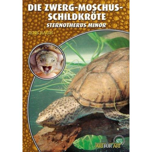 Die Zwerg-Moschus-Schildkröte – Jens Rauh