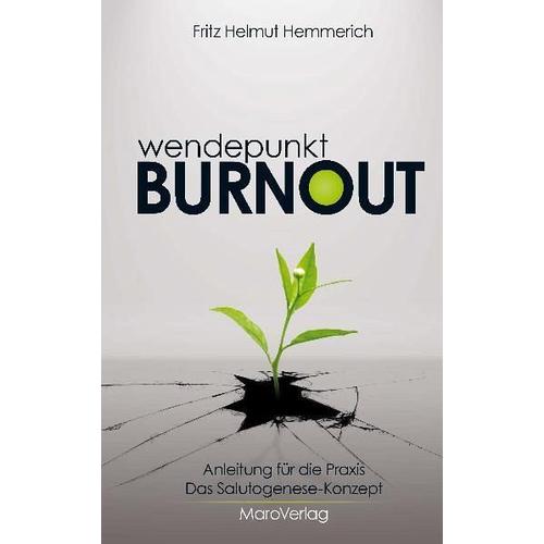 Wendepunkt Burnout – Fritz Helmut Hemmerich