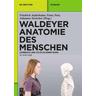 Waldeyer - Anatomie des Menschen - Friedrich Herausgegeben:Anderhuber, Franz Pera, Johannes Streicher, Anton Begründet:Waldeyer