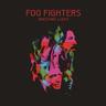 Wasting Light (CD, 2015) - Foo Fighters