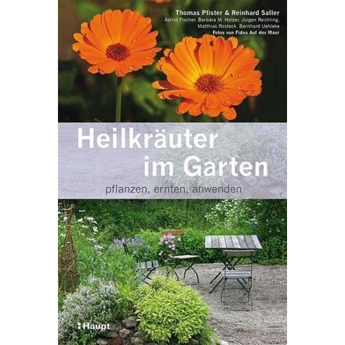 Heilkräuter im Garten – Reinhard Saller, Barbara M. Holzer, Astrid Fischer