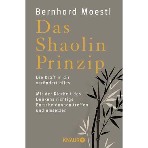 Das Shaolin-Prinzip – Bernhard Moestl