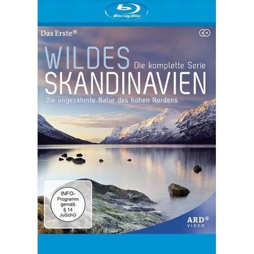 Wildes Skandinavien (Blu-ray Disc) - Studio Hamburg