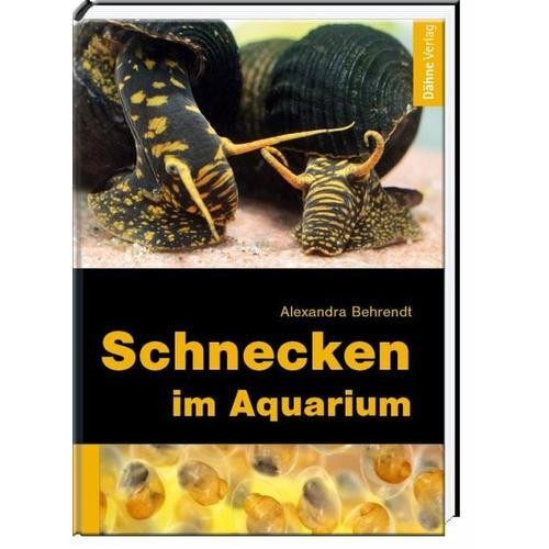 Schnecken im Aquarium – Alexandra Behrendt