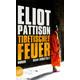 Tibetisches Feuer / Shan ermittelt Bd.8 - Eliot Pattison