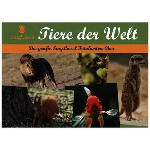 Tiere der Welt – Fotokarten für Senioren