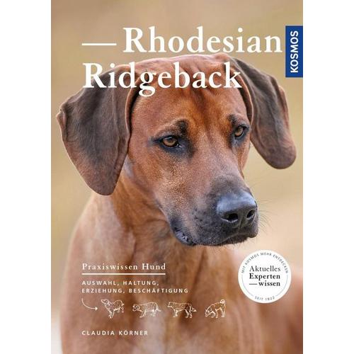 Rhodesian Ridgeback - Claudia Körner
