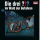 Die drei ??? - Der Wald der Gefahren, 2 Schallplatte