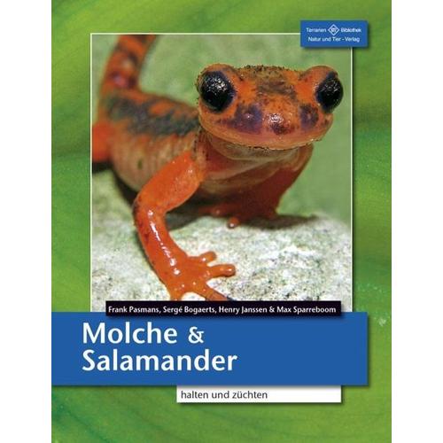 Molche und Salamander – Frank Pasmans, Max Sparreboom, Henry Janssen