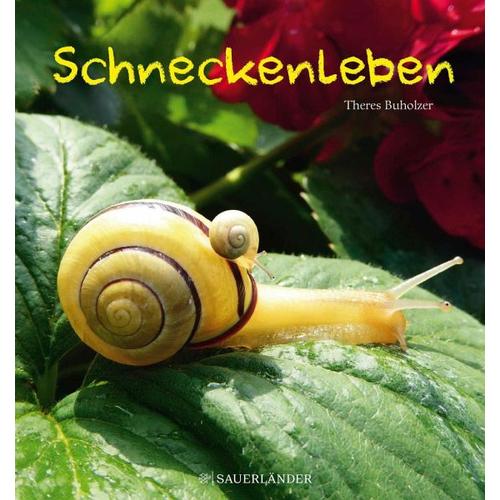 Schneckenleben – Theres Buholzer