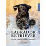 Labrador Retriever - Anja Möller