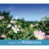 Hiddensee - Robert Ott