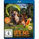 Latte Igel und der magische Wasserstein (Blu-ray Disc) - Koch Media Home Entertainment