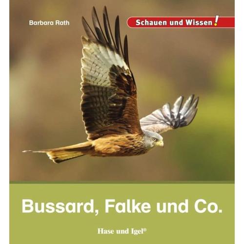 Bussard, Falke und Co. – Barbara Rath